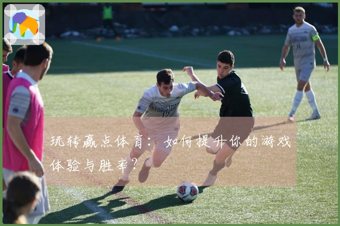 玩转赢点体育：如何提升你的游戏体验与胜率？