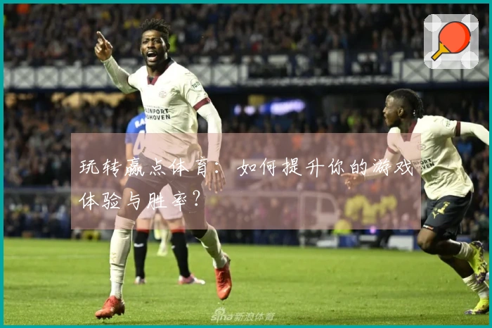 玩转赢点体育：如何提升你的游戏体验与胜率？